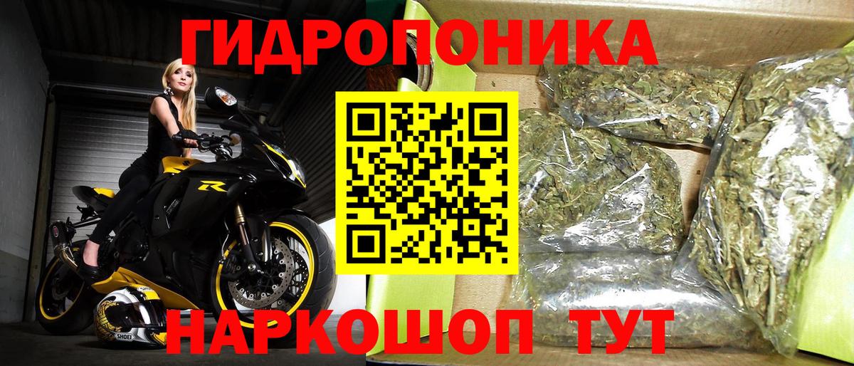 Шишки марихуана семена Сальск